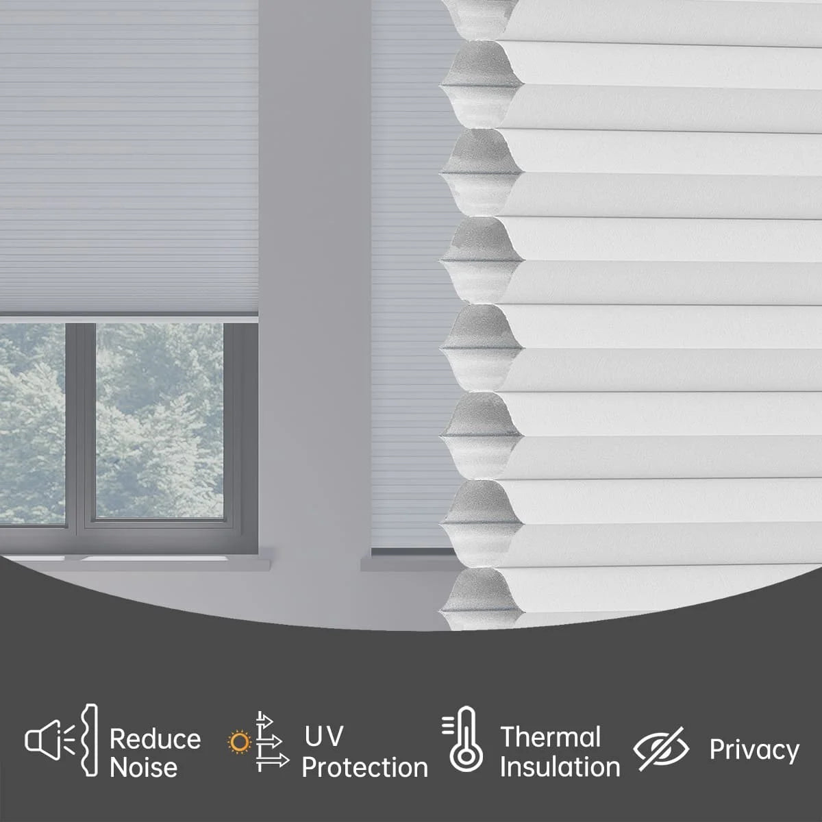 Blackout Cordless Cellular Shades Pull Down Honeycomb Blinds  Custom Side Window Treatment for Home Office Living Room