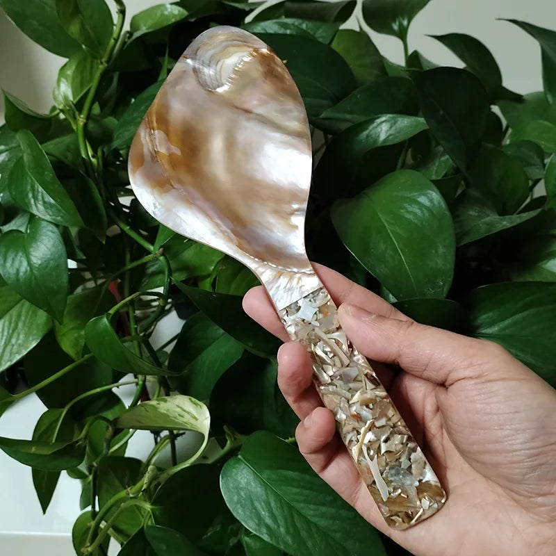 Mother of Pearl Rice Spoon Natural Shell Rice Paddle Heat Resistant Rice Cooker Spoon MOP Scoop for Home Kitchen Tool