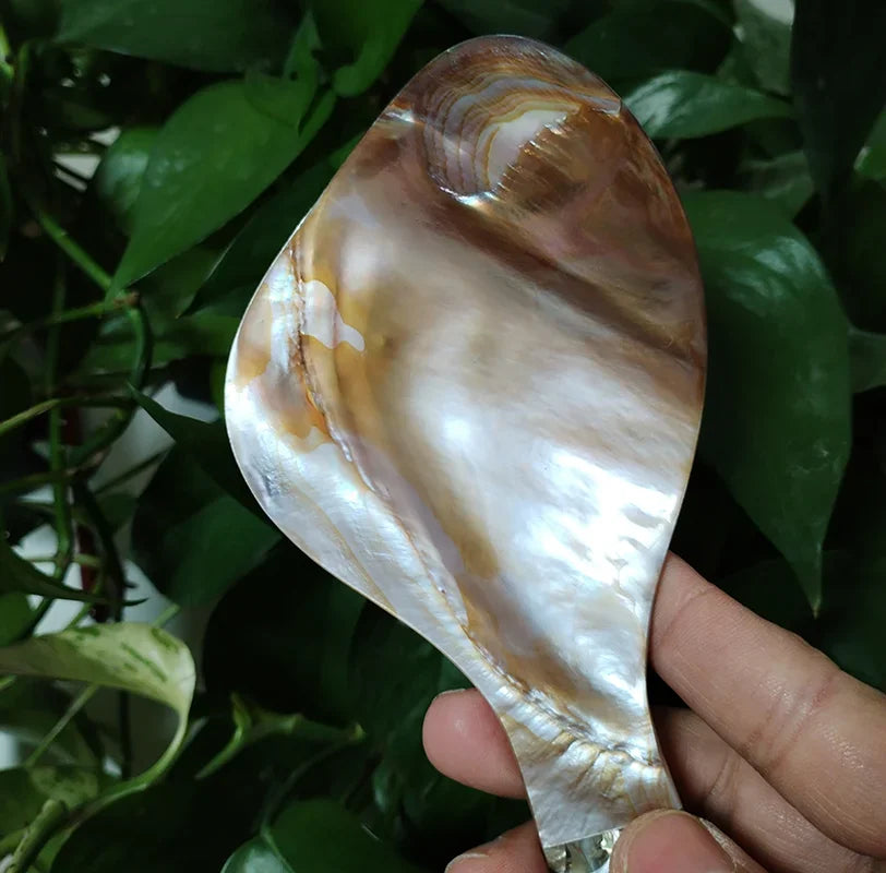 Mother of Pearl Rice Spoon Natural Shell Rice Paddle Heat Resistant Rice Cooker Spoon MOP Scoop for Home Kitchen Tool