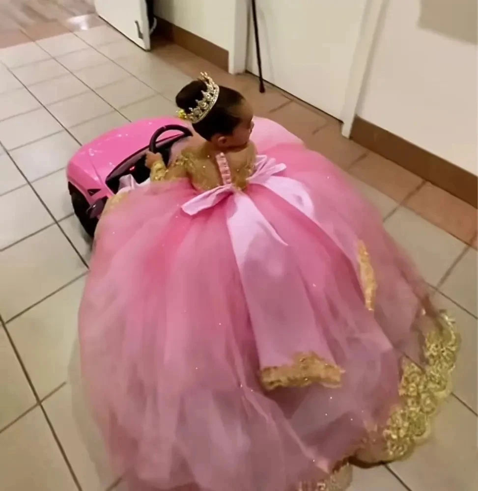 Pink Huge Bow Flower Girl Dresses Full Sleeves Lase Luxury Princess Pageant Dress For Birthday Party Gown First Holy Communion