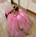 Pink Huge Bow Flower Girl Dresses Full Sleeves Lase Luxury Princess Pageant Dress For Birthday Party Gown First Holy Communion