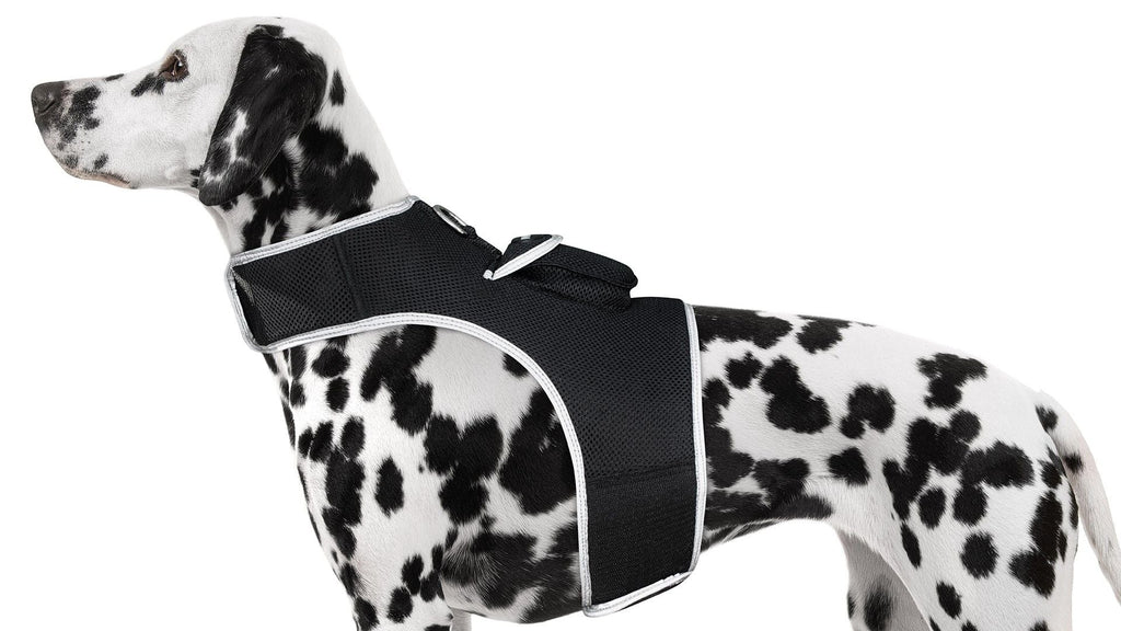 Waterproof GPS Tracker Dog Cat Rechargeable Locator with Battery Alert Size:L