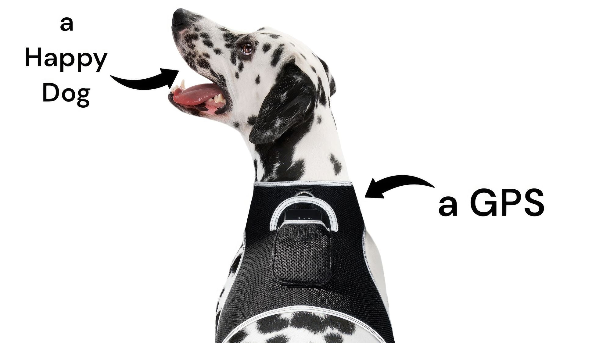 Waterproof Collar Mount Tracker Realtime GPS GSM Puppy Tracking Device Size:L