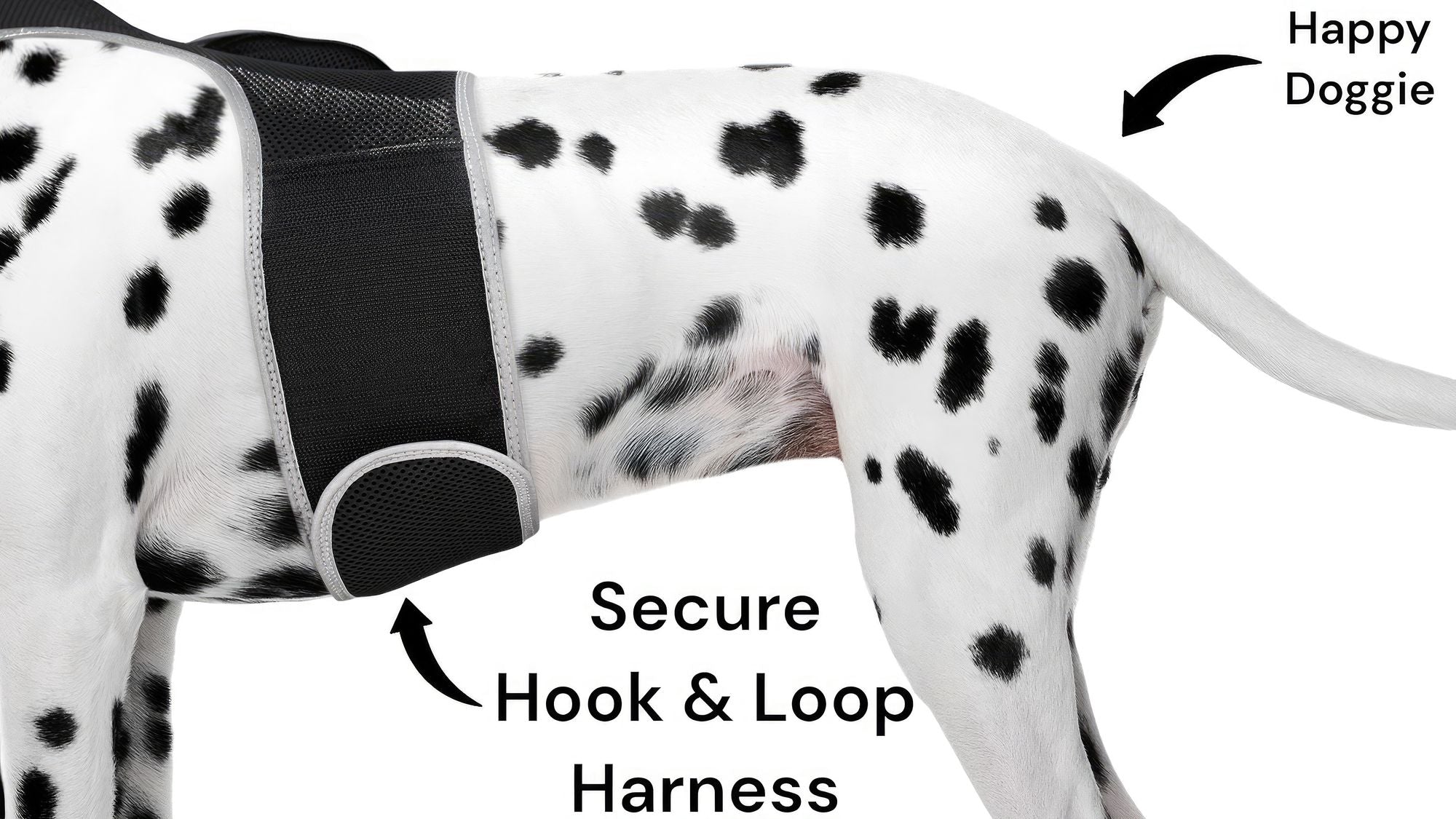 Easy Setup Waterproof Mini GPS Realtime Pet GSM GPRS Tracking Device Size:L