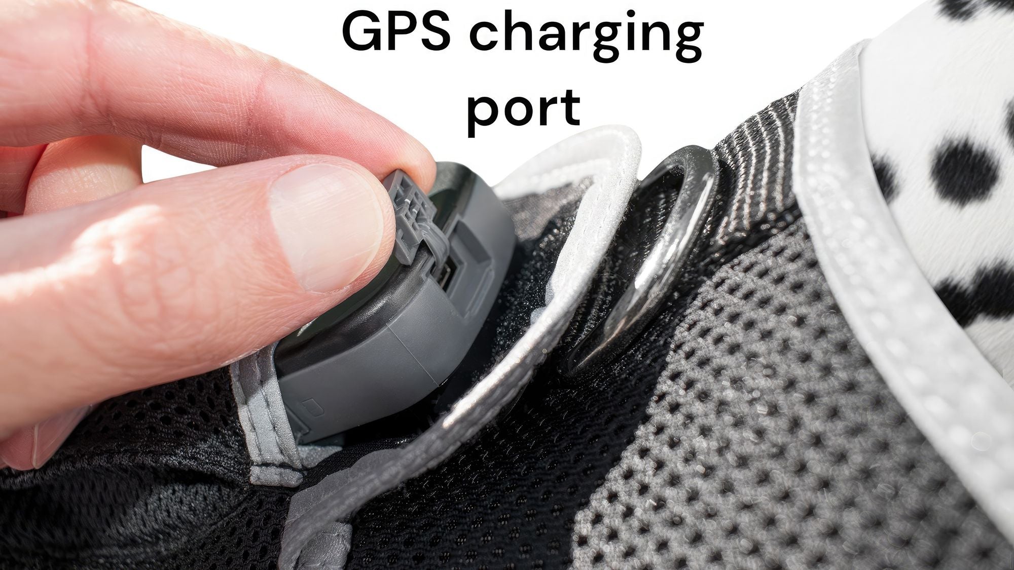 Collar Rechargeable Portable GPS Tracking Devices for Pets GSM Locator Size:XS