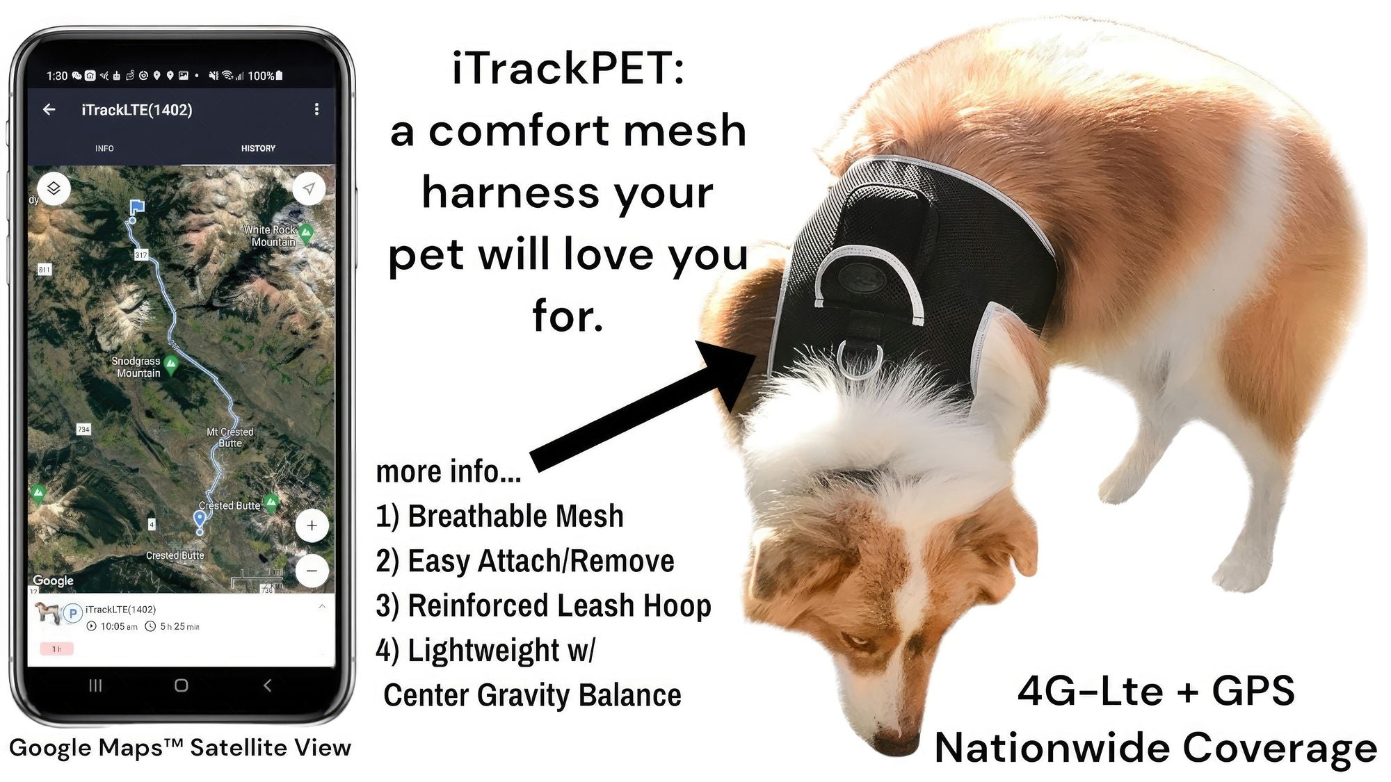 Easy Setup Waterproof Mini GPS Realtime Pet GSM GPRS Tracking Device Size:L