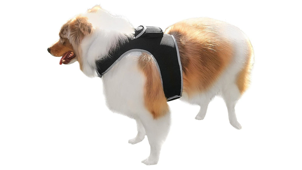 Consistent Realtime Mini Cat Dog GPS Tracking Collar Waterproof Device Size:L