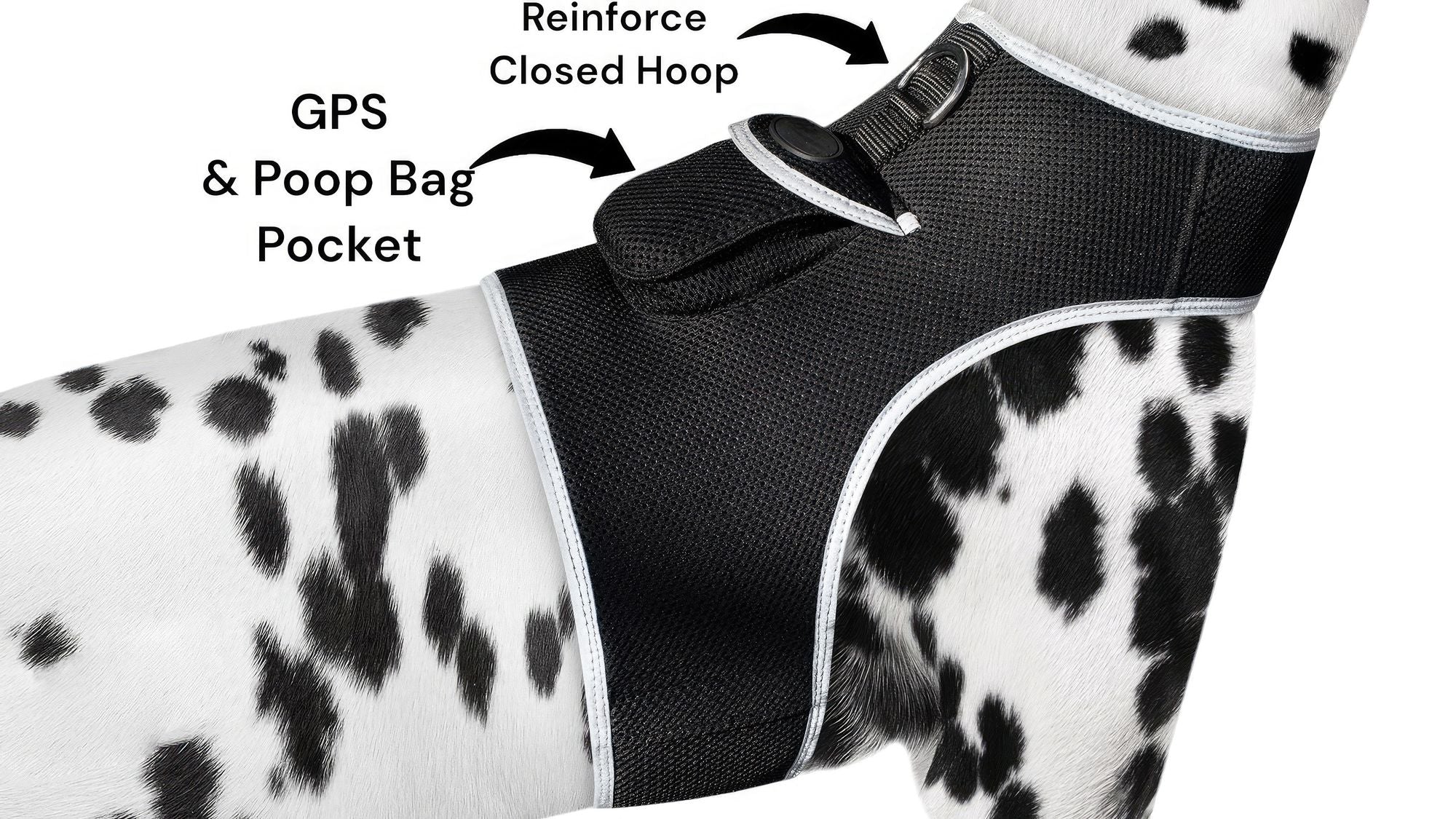 Collar Rechargeable Portable GPS Tracking Devices for Pets GSM Locator Size:XS