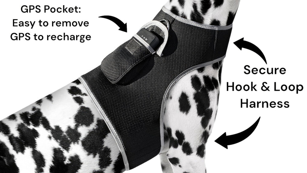 Keep Pet Safe with Pet Tracker GPS Dog Collar Tracking Device + Phone App Size:M
