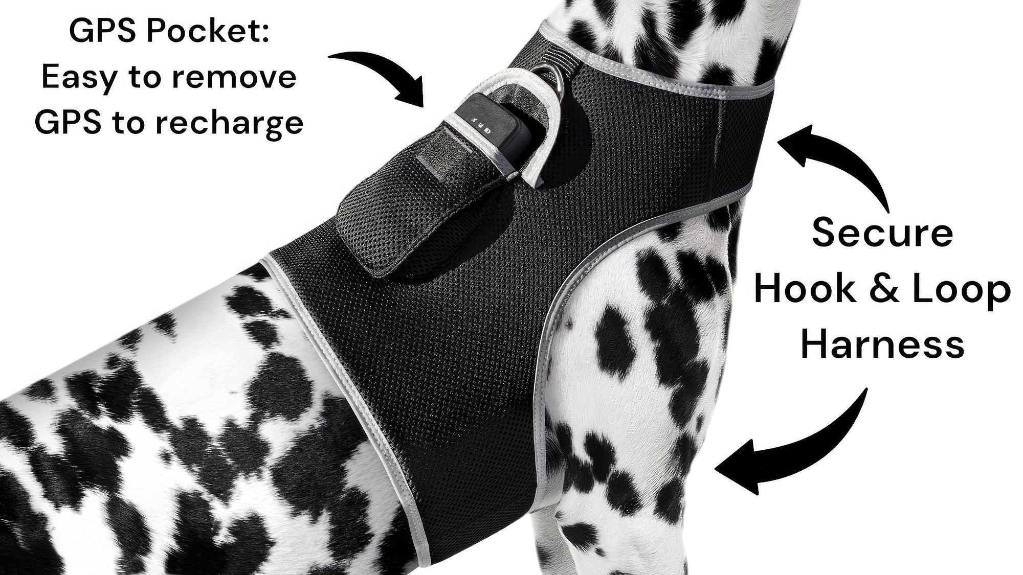 GPS Rechargeable Tracking Device for Pets Realtime Surveillance System Size:XXL